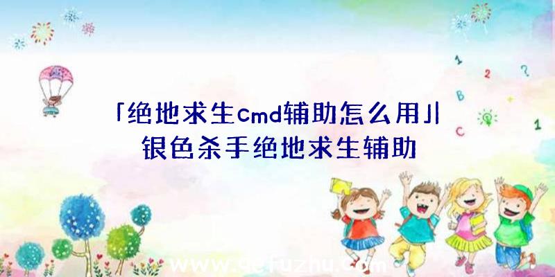 「绝地求生cmd辅助怎么用」|银色杀手绝地求生辅助